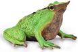 Collecta Darwin Grenouille Figurine Verte 3-6 Ans