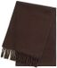Gant Foulard Laine Shadow Brown Hommes Uni Long