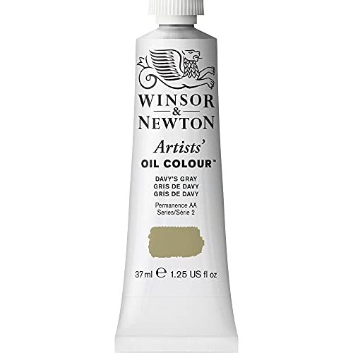Winsor & Newton Winsor & Newton1214217 Artists' Oil Colour, professionele olieverf met maximale pigmentering en lichtechtheid - 37ml, Davy's Gray