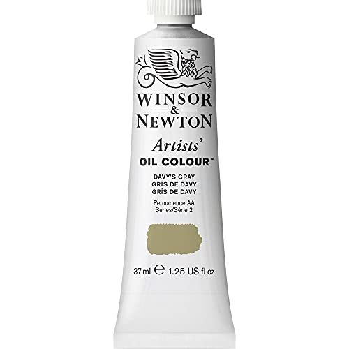 Winsor & Newton Artists' Oil Colour - Davy's Gray - 37ml