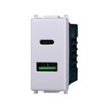 Elektronova Stopcontact USB Type-A+C 5V 3.1A oplader wit compatibel Vimar Plana dubbele oplader 3002