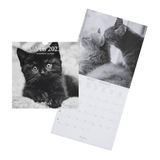 Drager Paris Wandkalender katten zwart en wit 2023