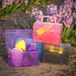 Harry's Horse Mini Giftbox - Antraciet