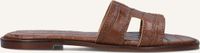 Notre-V Nv-1001 Slippers - Dames - Bruin - Maat 38