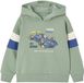 Vertbaudet Sweater met capuchon met geplaatste print saliegroen