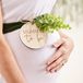 Ginger ray Botanical Baby Sjerp Mummy to Be Fluweel BruinGroen
