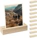 ALPZEIT 10 porte-cartes en bois, porte-photos, porte-noms, présentoir à cartes, porte-cartes postales, bouleau, 10 pièces