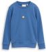Tom Tailor - Glow-in-the-dark sweatshirt met print op de rug - Maat 116/122 - Federal Blue