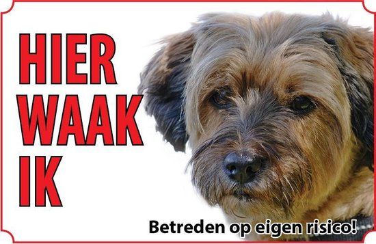VSkins Bord Hond Tibetaanse terriër - Dibond - 30 x 20 cm - Zwart/Wit/Rood/Bruin