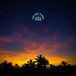 Bertus Distributie Lewis Taylor The Lost Album