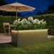 vidaXL Jardinière avec LED Vert olive 40 x 100 x 40 cm Acier
