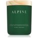 DW Home Tierra Scented Candles 249 gr