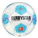 Derbystar Bundesliga Player v24