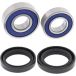 ALL BALLS Racing wiellagerset wheel bearing sets 25-165 complete with simmerrings