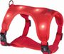 Nobby Tuig Flash Mesh - Rood - L