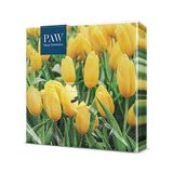 PAW Servetten 33 x 33 cm, 20 stuks - Tulpenveld