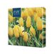 PAW Servetten 33 x 33 cm, 20 stuks - Tulpenveld