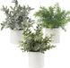 Unyqoos® Set van 3 kleine kunstplanten