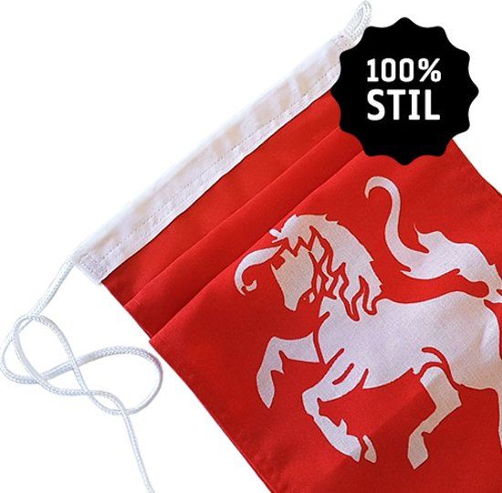 Wimpel Twente 300 cm 100% stil