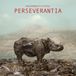Mute Records - Hackedepicciotto - Perseverantia (CD)