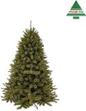 Triumph Tree Forest Frosted - 185 cm