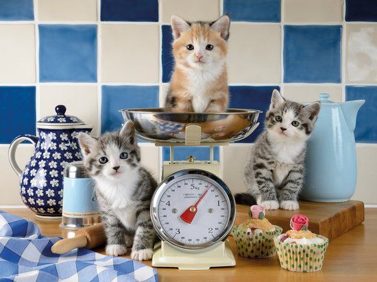Ravensburger Katjes in de Keuken Legpuzzel 1500 Stukjes