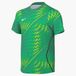 Nike Gardien VI Short Sleeve Goalkeeper Shirt