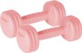 Rebel Active Serie - Bitumineuze Dumbbells - 2x1kg - Pastel