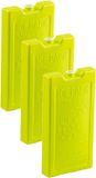 Plasticforte Koelelementen - 6x stuks - 500 grams - 20 x 10 cm - groen - kunststof
