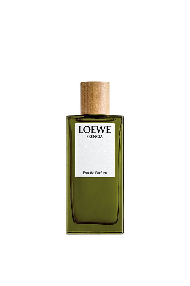 LOEWE Perfumes Loewe / Eau de parfum / 100 ml / Heren