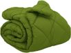 vidaXL Couette d'hiver 200 x 200 cm 450 gsm Microfibre Vert