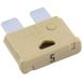 MTA Automotive 340024 Standaard platte zekering 5 A Beige 1 stuk(s)