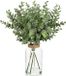 Unyqoos® Branches d'eucalyptus artificielles dans un vase en verre – Plante décorative, 35 cm