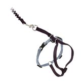 PetSafe Come With Me Kitty harnas en bungee riem, harnas voor katten, groot, zwart/zilver