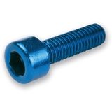 Schroefset 6 stuks binnenzeskant aluminium goud - M5x45
