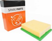 Filtre à air de la tondeuse à gazon