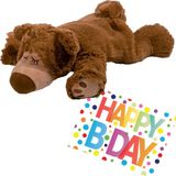 Warmies Greenlife Value Gmbh Pluche knuffel magnetron opwarm beer 32 cm met A5-size Happy Birthday wenskaart - Verjaardag cadeau setje
