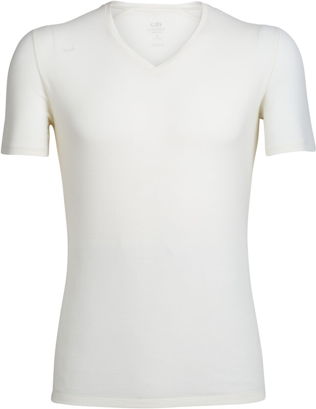 Icebreaker Anatomica V-hals T-shirt Heren, snow