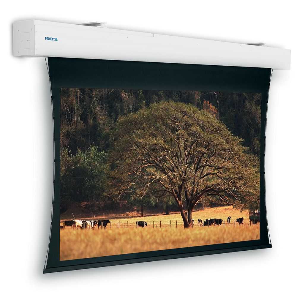 Da-Lite Projecta Tensioned Elpro Large Electrol - 255 x 400 cm - Zwart/Wit