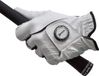 Srixon Golfhandschoen Wit - Ball Marker All Weather - Rechtshandige golfers (Linker handschoen) - Maat S