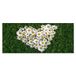 Homemania Muurfoto, bloemen, natuur, voor woonkamer, slaapkamer, meerkleurig, 70 x 3 x 100 cm, HM20KNV70 x 100 – 129, polyester, hout