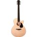 Furch Violet Gc-EM guitare électro-acoustique western Grand Auditorium avec gigbag