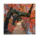 Homemania Afbeelding boom natuur en landschappen voor woonkamer, slaapkamer, meerkleurig, 60 x 3 x 60 cm, HM20KNV60 x 60 – 224, polyester, hout