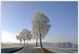 ArtPlaza Art Studio Wintry decoratief paneel, hout, meerkleurig, 90 x 60 cm