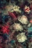 Alexsar Art schilderij Deco panel smoky flowers 50x70cm