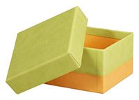 RHODIA 318886C - Set van 5 Nestbare Doosjes Anijsgroen - Oranje Zadelstiksel - Buitenkant in Imitatieleer - Home Office Rhodiarama Collectie - Bureauorganisatie en Stijlvolle Opberging
