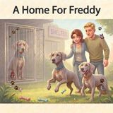 A Independently Published A Home For Freddy Paperback