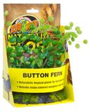 Zoomed Naturalistic Flora Button Fern terrariumplant van kunststof