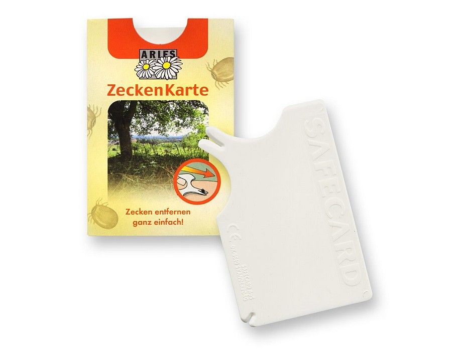 Aries Tekenkaart - 4018874082608