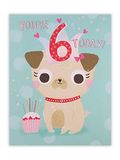 Clintons: Pug In Feestmuts Met Stickers, 6e Verjaardag, Meisje | voor haar 149x195mm